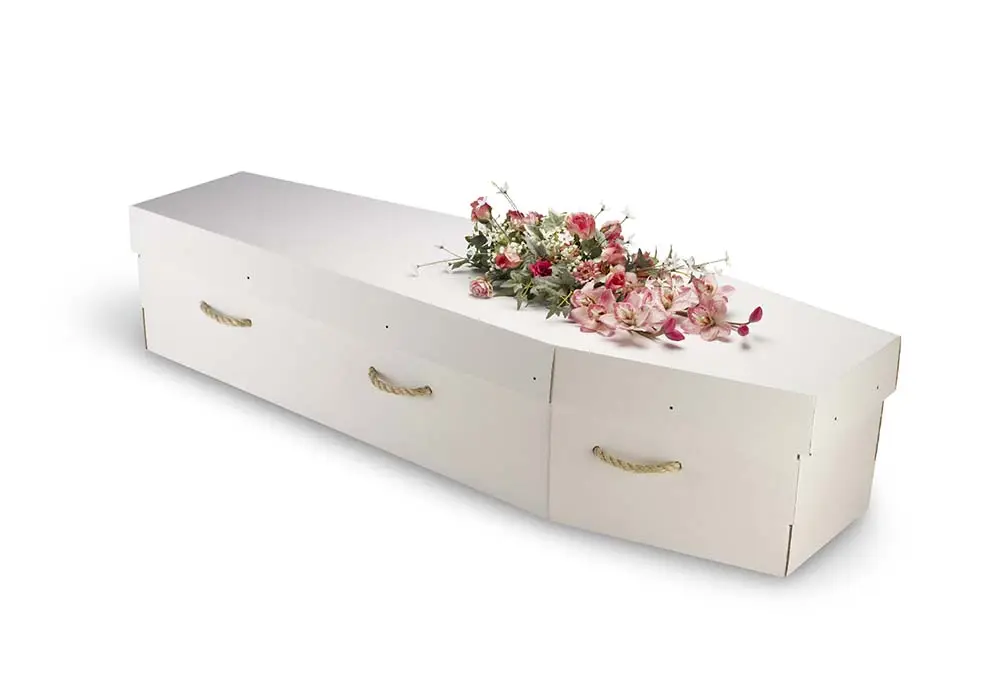 A cardboard bio-degradable eco-coffin, casket isolated on white with a clipping path