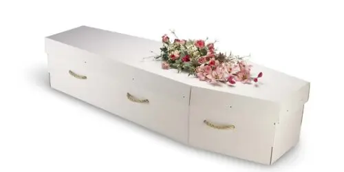 A cardboard bio-degradable eco-coffin, casket isolated on white with a clipping path